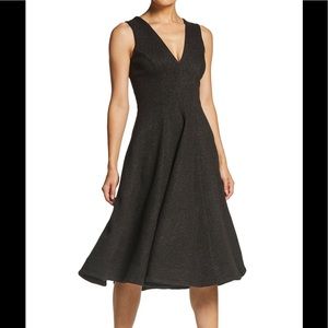 Dress th Population Peyton Sleeveless A-Line Dress